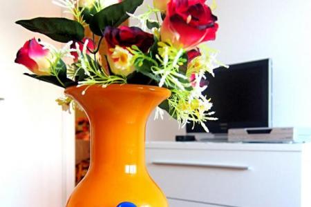 House Marija photo 5