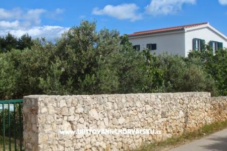 Apartments Čikotić photo 2