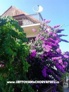 House Marino Marina - Trogir Croatia