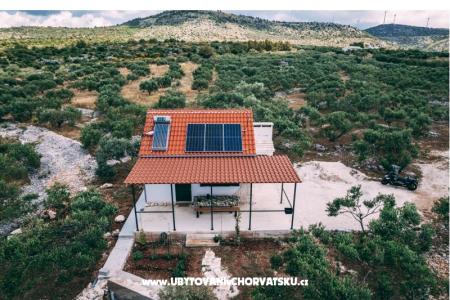 Green House (Dogs are welcome) photo 3