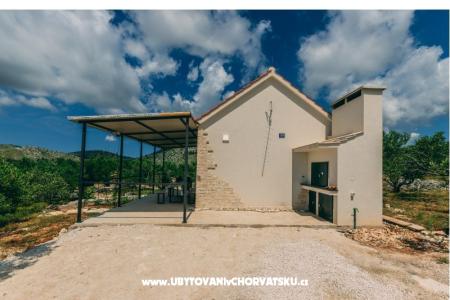 Green House (Dogs are welcome) photo 5