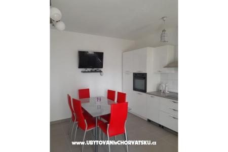 Slavko Šain photo 3