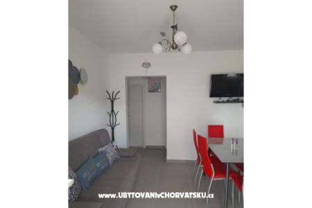 Slavko Šain photo 4