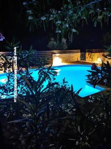 Sunny pool Apartments photo 4
