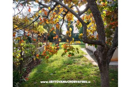 Flowers Apartment Medulin, Fucane 2 photo 4