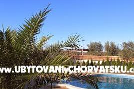 House Oliva photo 4