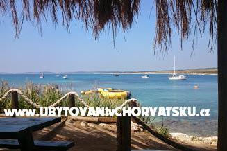House Oliva photo 5