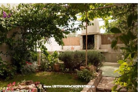 Apartments Xenia photo 3