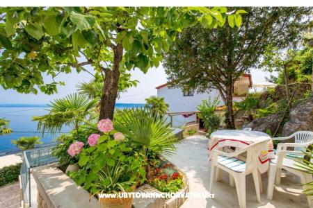 Apartments Gea *** photo 3
