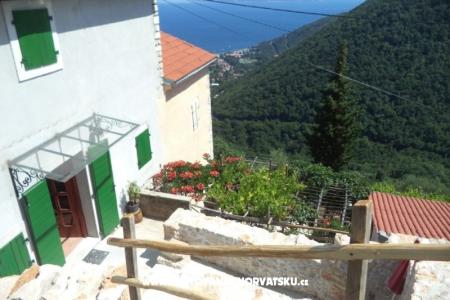 Vacation house Mickey photo 2