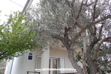 Apartment Visnja photo 3