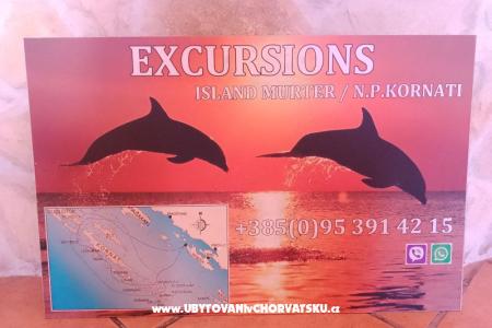 Apartments Mile photo 3