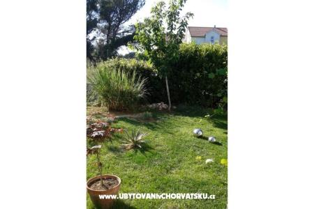 Apartments Anita photo 2