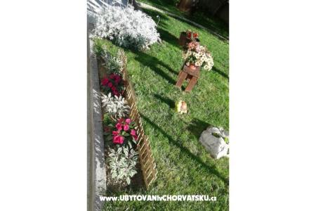 Apartments Anita photo 5