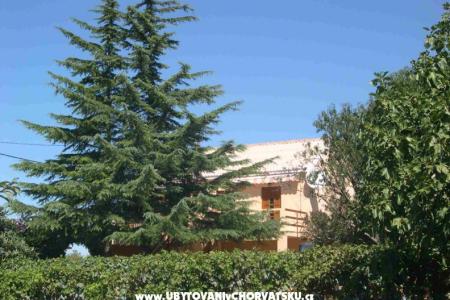 Apartments Mrdelja photo 2