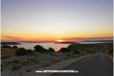 Apartments Seaside photo 5