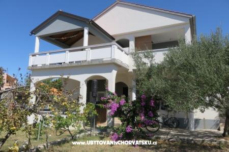 Apartments Renata photo 3