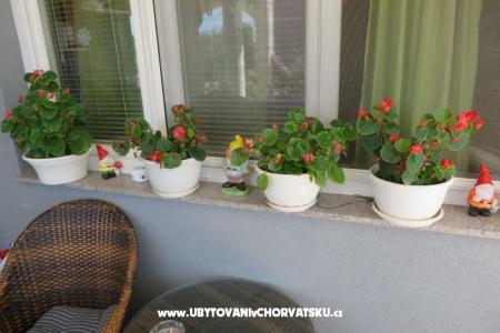 Apartments Renata photo 5