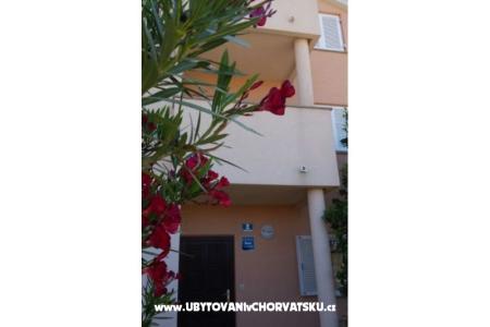 Oasis Apartments photo 2