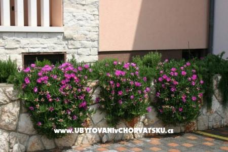 Apartments Grga photo 5