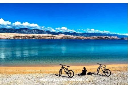 Apartments Jelka photo 4