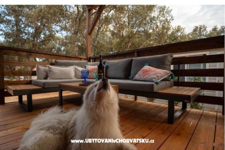 House Sookie photo 3