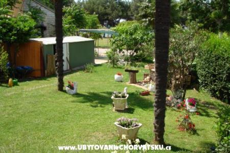 Apartment Živka photo 5