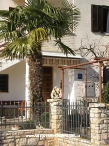 Apartments Reinic photo 2