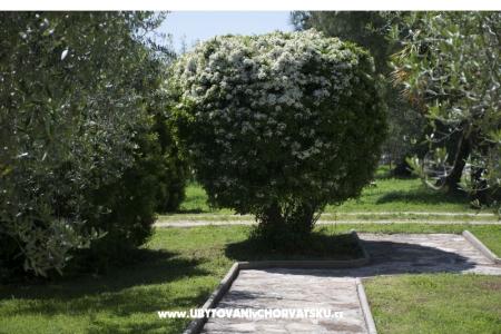 Sanja Apartments Novigrad photo 3