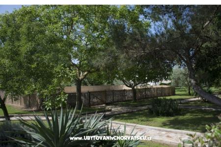 Sanja Apartments Novigrad photo 5