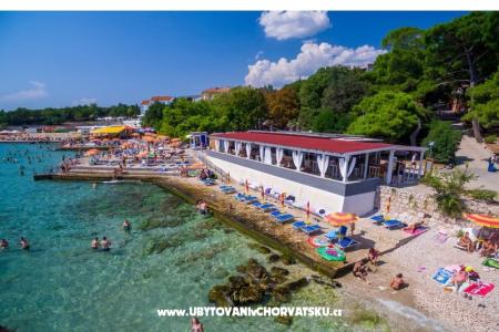 Apartment Rino photo 3