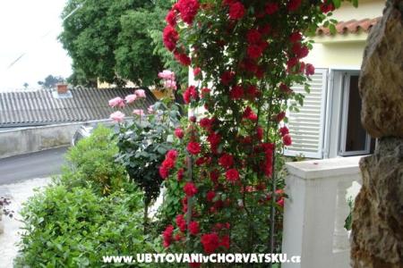 Apartments Piskulic photo 3
