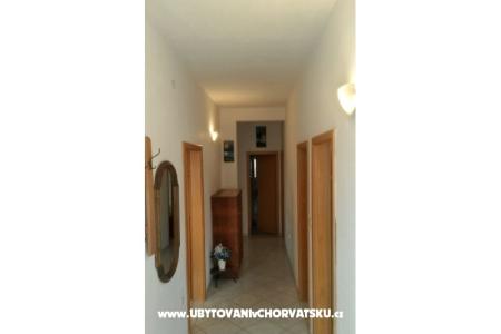Apartment Jelica photo 2
