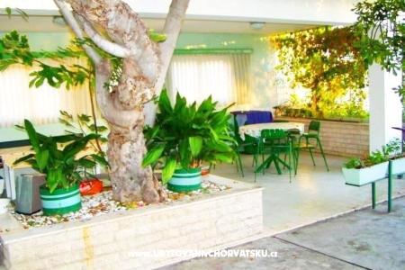 Apartments Ana photo 4
