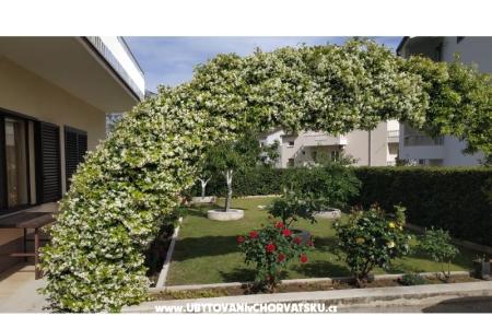 Apartments Danica photo 5