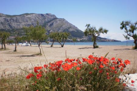 Apartments Danka Čudić photo 3