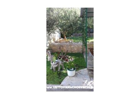 Apartments Draga photo 2