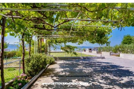 Apartments Felis photo 4