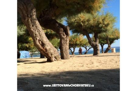 Apartments Ivanka Omis Croatia