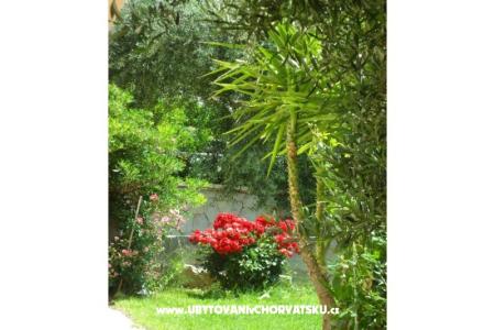 Apartments Maja photo 4