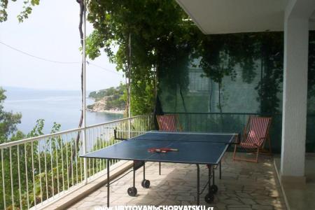 Apartments Milica photo 3
