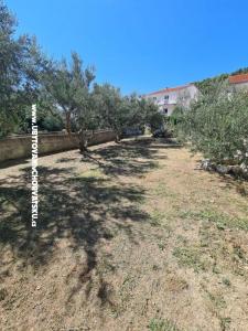 Apartments Miro, Duće photo 2
