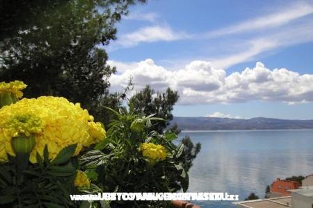 Apartments Tice photo 5