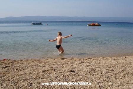 Apartments VERA photo 3