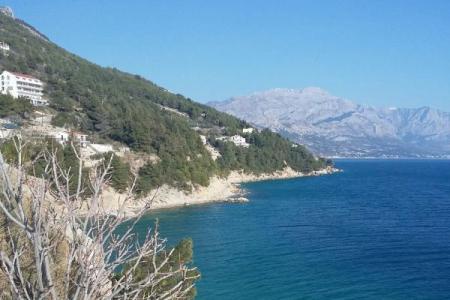 Apartments Visnjica photo 2