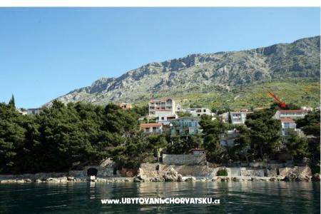 Apartments Peter  photo 3