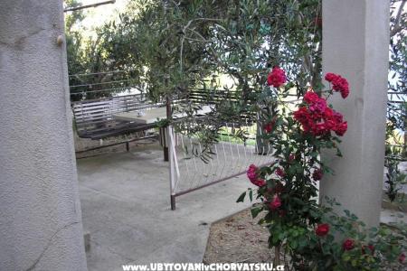 Apartments Kovacic photo 3