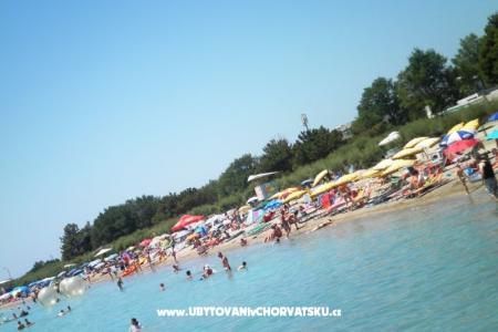 Apartment Smokvica photo 4
