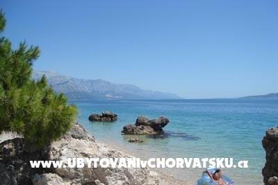 Apartments Marija Medic photo 4