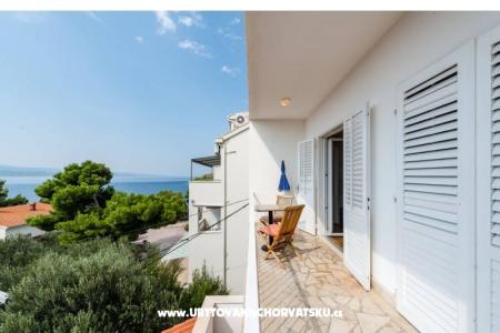 Apartments Ban (Medići) photo 2